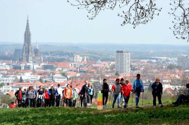 Nordic walking, je speciální typ chůze, při kterém používáte speciální hole. Ty mají zajistit to, že vaše tělo bude vykonávat pohyb správně.