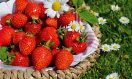 Dieta a jahody: Kolik kalorií obsahují jahody?